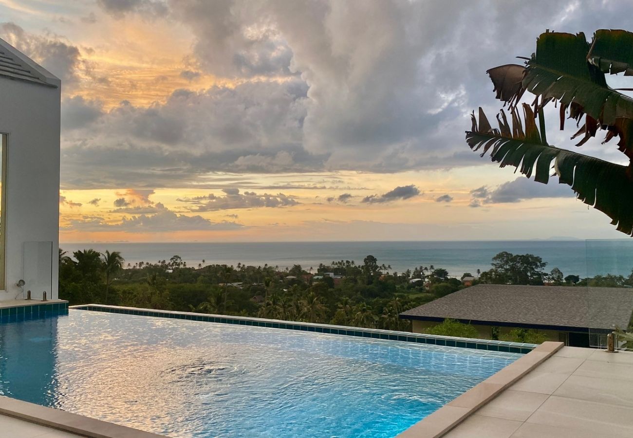 Villa in Ko Samui - V4 IDYLLIC - 4 BDR - BANGPOR
