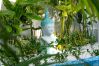 Villa in Ko Samui - WHITE HOUSE - 3 BDR - CHAWENG